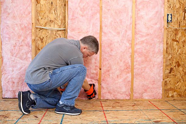 Best Commercial Insulation in Boulder Hl, IL